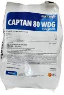 [MMS-CAPRAM-85] CAPRAM 85